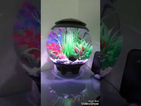 Biorb Halo 15l