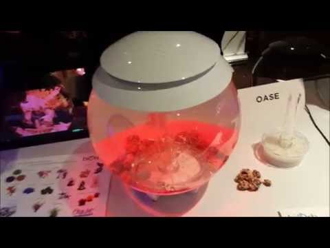 biOrb HALO – an easy-to-use aquarium