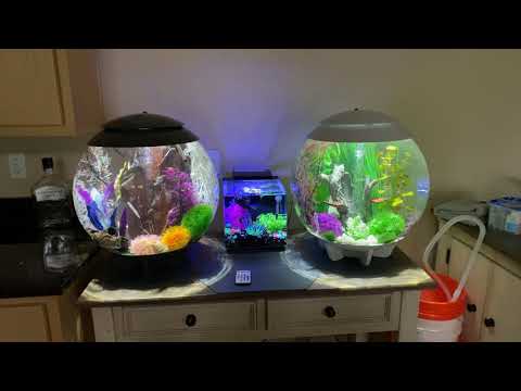BiOrb Halo Aquariums