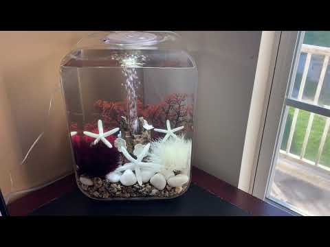 biOrb Life 15L LED Aquarium with red forest decoration ~ by Maitri Chakraborty