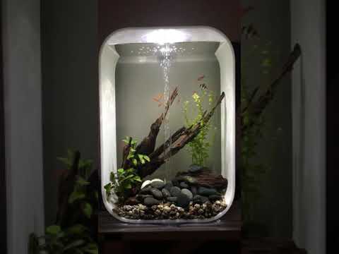 Biorb life 45