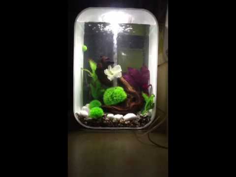 Biorb life 45 Intelligent Light in Action