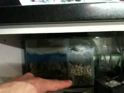 Biorb life 45 marine with Sump Filter
