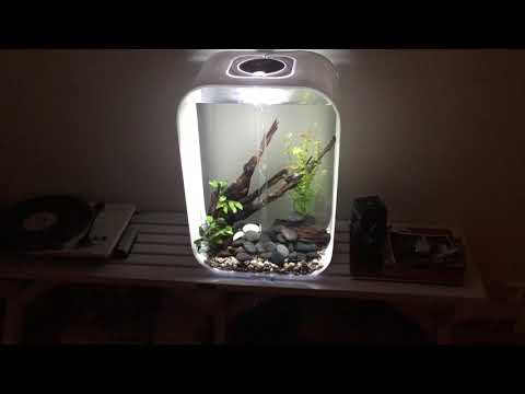 Biorb life 45