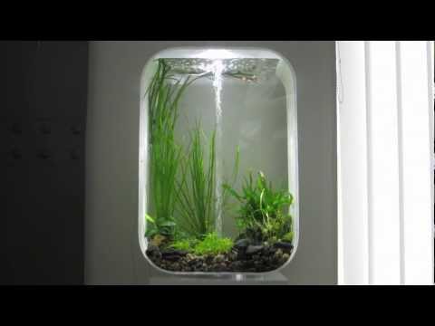 Biorb Life 60 Aquarium