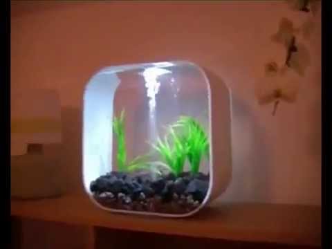 biOrb Life Aquariums – Bradshaws Direct