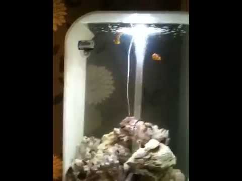Biorb life marine aquarium