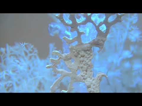biOrb Living Pictures Classic 30 – Winter Dream