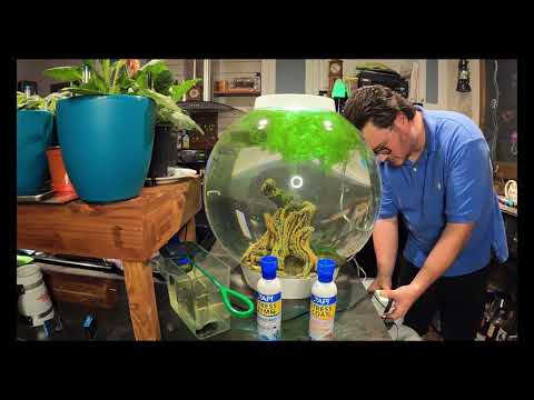 BiOrb Maintenance