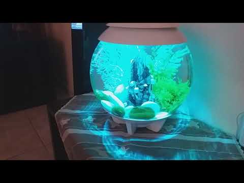 Biorb Mcr Halo AS72038 15Lt White Oase