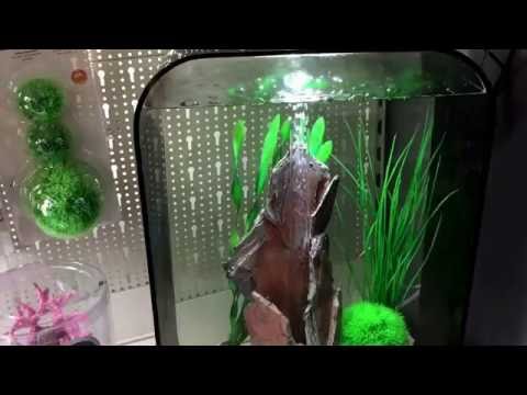 BiOrb mcr meerkleurig led licht met afstandsbediening, multi color led unit biorb aquarium
