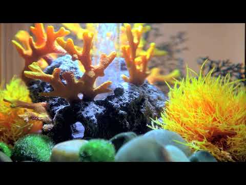 biOrb TUBE 15 Lava Rock with Coral