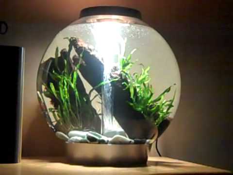 biOrb update (betta)