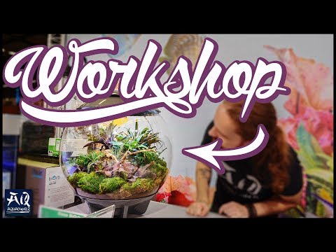 biOrb Workshop auf der Aqua-Ruhr 2019 | AquaOwner