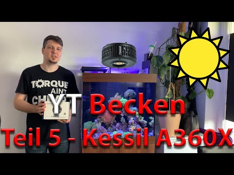 Blue Passion – YT Becken – Teil 5 – Kessil A360X