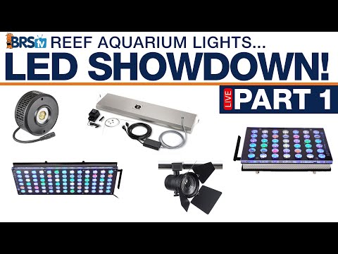 BRStv's Reef Tank Lighting Showdown (Part 1): Kessil A360X, Orphek, Kessil T365, ATI 4-Bulb T5