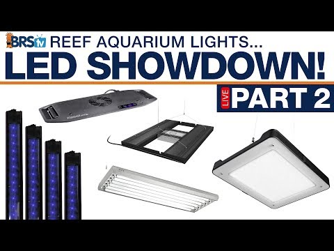 BRStv's Reef Tank Lighting Showdown (Part 2): Kessil/T5, AP9X, 6-bulb T5, Coral Care, XHO strips