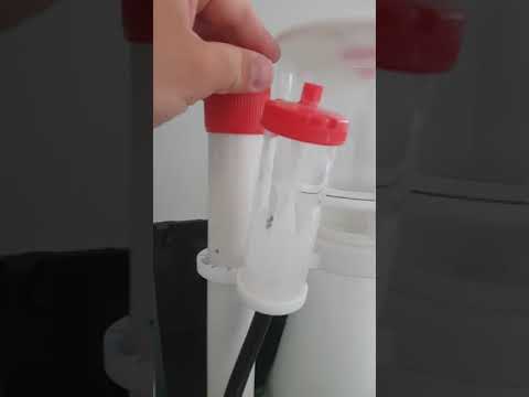 Bubble Magnus Curve 7 German .