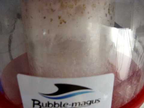 Bubble Magus 180CS Protein Skimmer