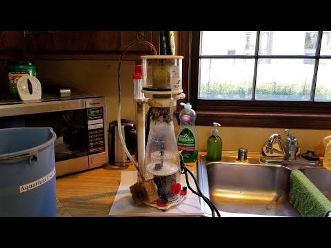 Bubble Magus BM Curve 5 Protein Skimmer – Review and Mods