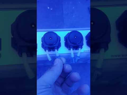Bubble magus bm-t11 unboxing and honest review