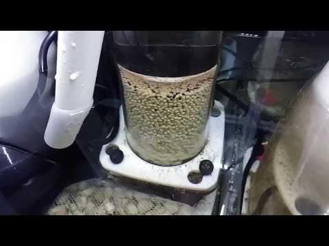 Bubble Magus BP100. 900ml Pellets