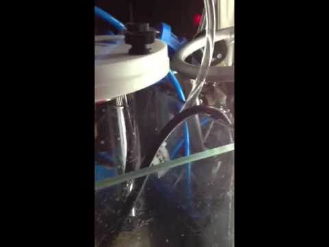 Bubble magus c100