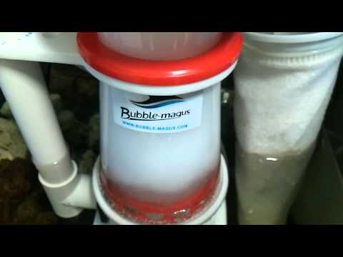 Bubble magus C5.5