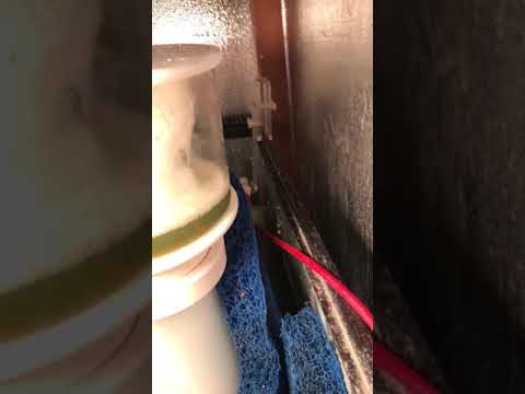 Bubble Magus C7 Protein Skimmer (Test Footage Part II)