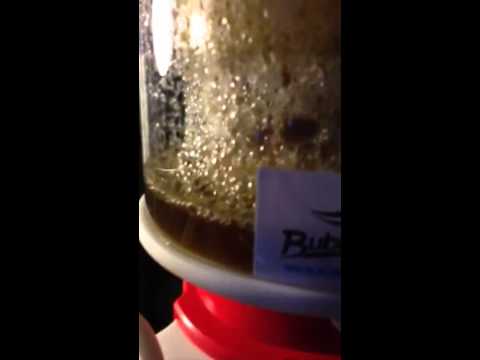 Bubble magus c7