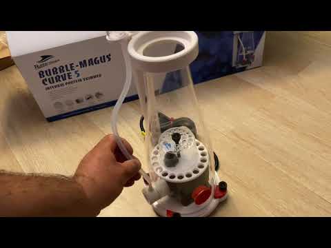 Bubble magus curve 5