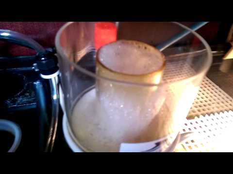 Bubble magus curve 5