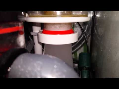 Bubble magus curve 5 flowing