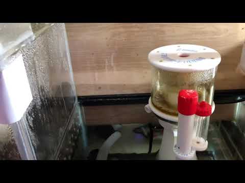 Bubble Magus Curve 5 for beginners
