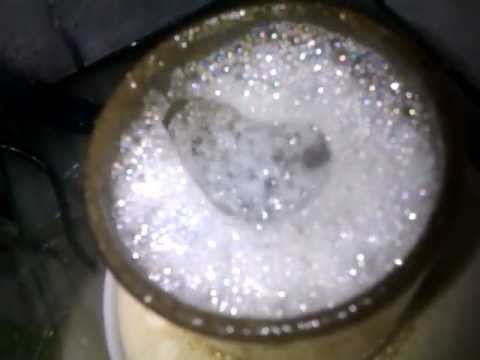 Bubble Magus Curve 5 in action