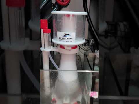 bubble magus curve 5 overflow