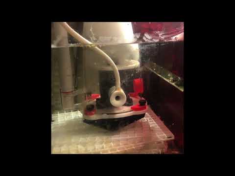Bubble magus curve 5 overflowing