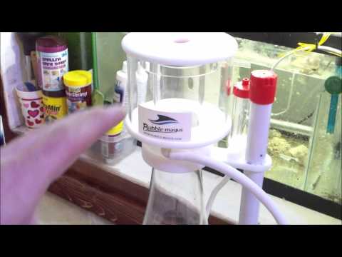 Bubble Magus Curve 5 Protein Skimmer Install / First Look