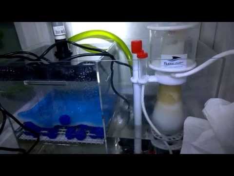Bubble Magus Curve 5 Protein Skimmer
