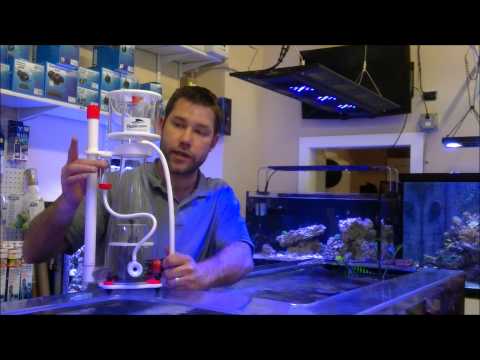 Bubble Magus Curve 5 Skimmer Review