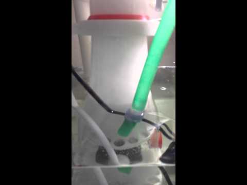 Bubble magus curve 7
