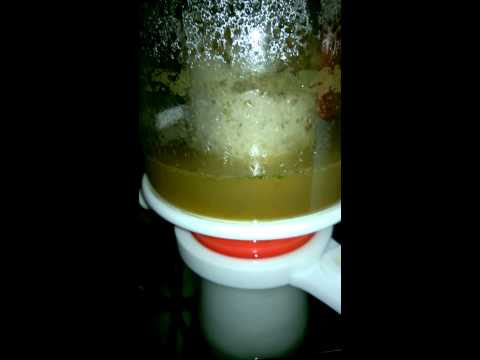 Bubble Magus Curve 7