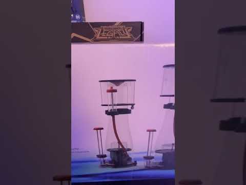 Bubble Magus Curve 7 Elite protein skimmer