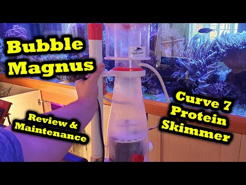 Bubble Magus Curve 7 Protein Skimmer Review & Maintenance – Marine Saltwater Reef in Wall