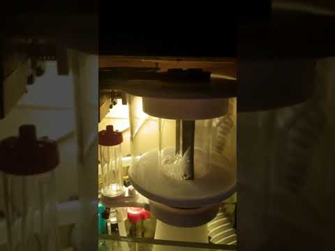 Bubble Magus Curve A5 auto head cleaner V1.0