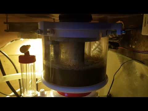 Bubble Magus Curve A5 auto head cleaner V2.0