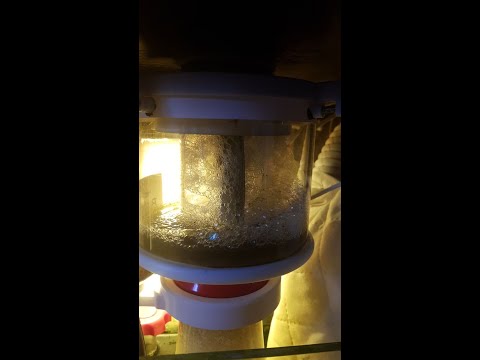 Bubble Magus Curve A5 Head Cleaner V4.0