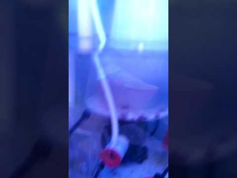 Bubble magus curve9