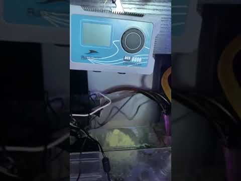 Bubble Magus D10 skimmer