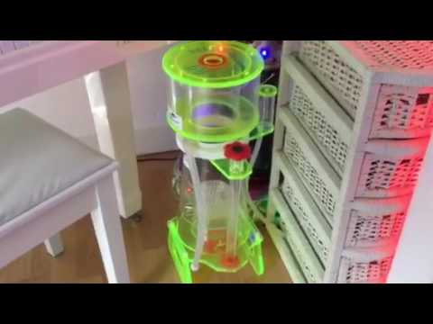 Bubble magus G9 over skimming part 3